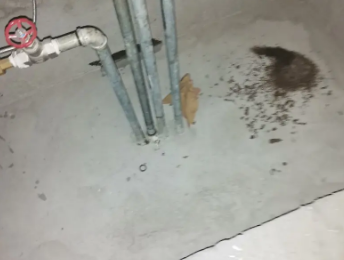 石门卫生间测漏水价格明细